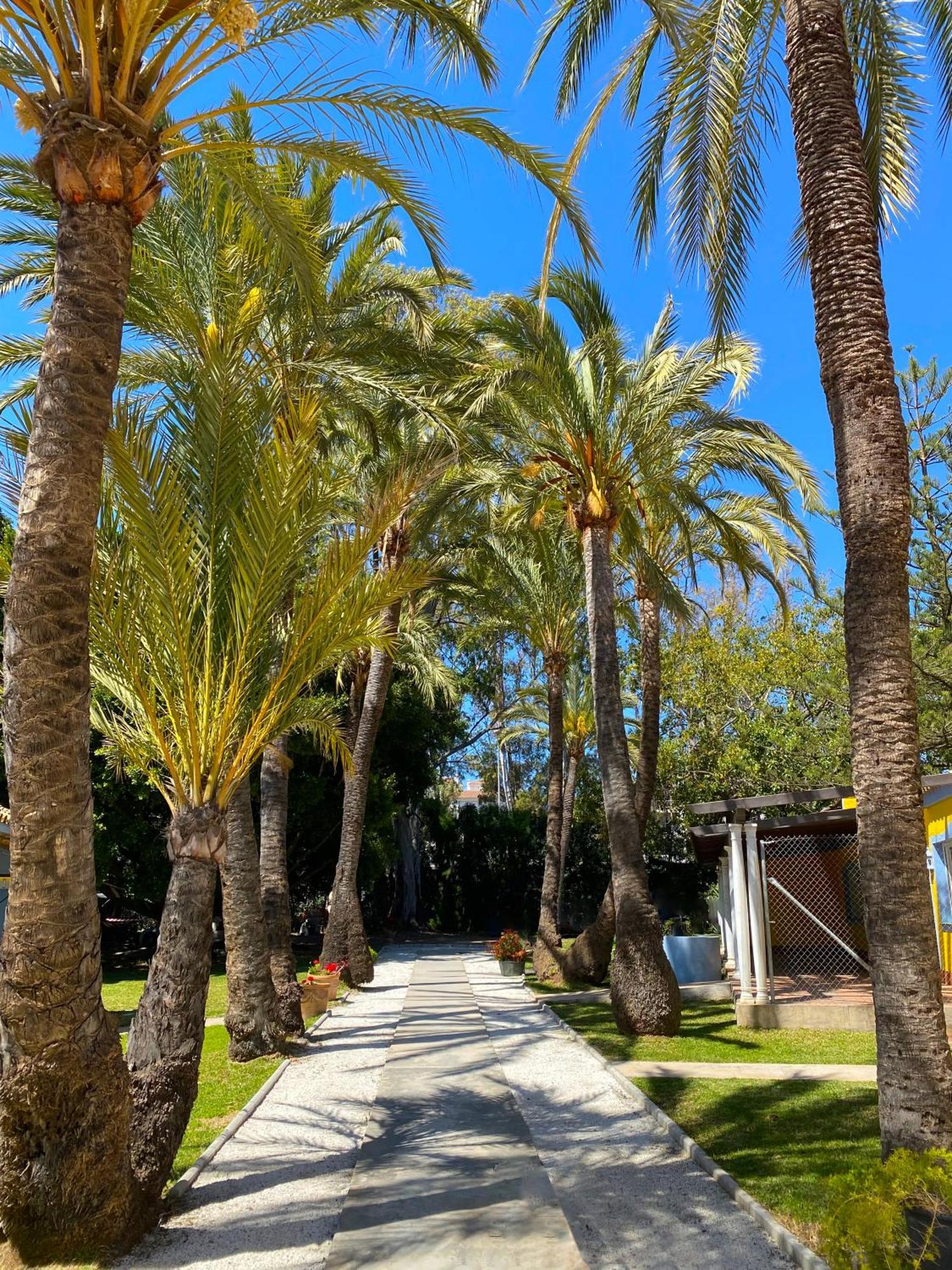 Апартаменти Cortijo La Saleta Banus Марбелья Екстер'єр фото